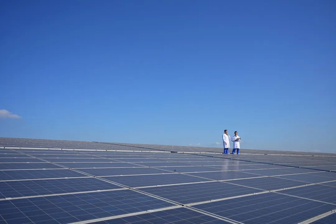 йyh0076(ɷ)޹˾-ٷվ